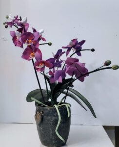 WhatsApp Image 2024-06-29 at 23.01.49